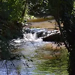 Charentais Le Coin Arbore
