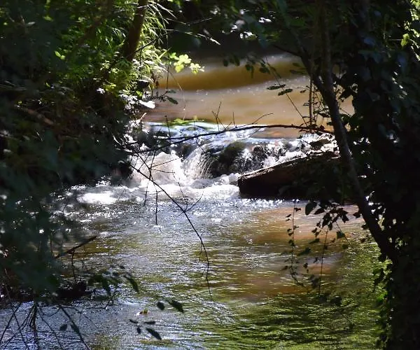 Charentais, Le Coin Arbore