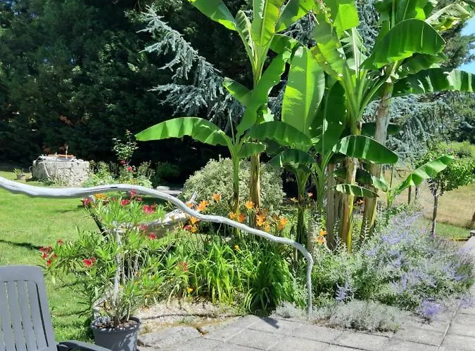 Charentais, Le Coin Arbore Semesterbostad Boresse-et-Martron